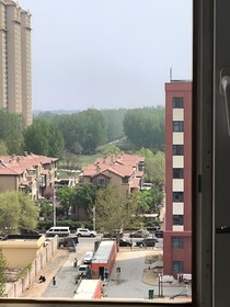 在樱花树下相拥