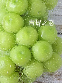 青提之恋
