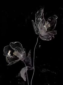 云花
