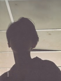 边伯贤：风月极乐天