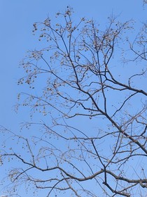 关山难越关山越