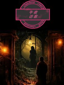 午夜访客