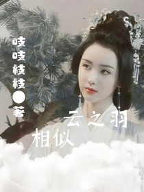 云之羽：相似