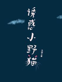 诱惑的小野猫