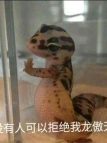 关于我与光遇监护人的二三事