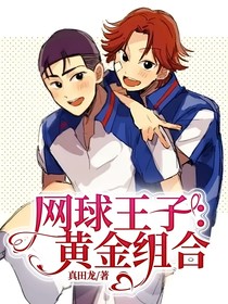 網(wǎng)球王子：黃金組合