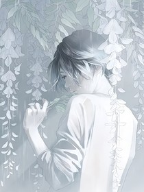 综影视：繁花似槿