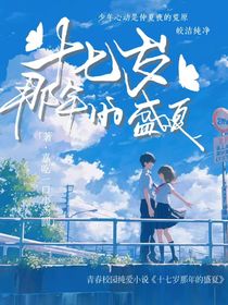 十七岁那年的：盛夏