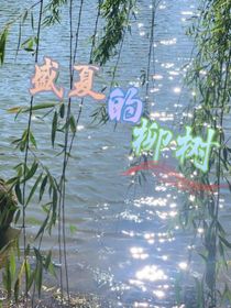盛夏的柳樹(shù)