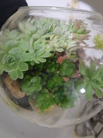 生活细碎