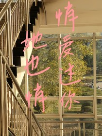 她悄悄爱过你