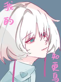 我的知更鸟——卡菇（光遇）