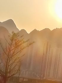 春不懒