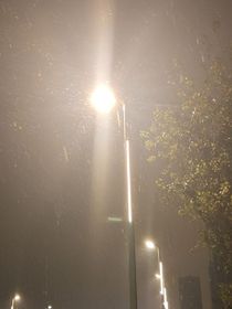 愛在我心間