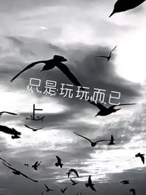 只是玩玩而已……上