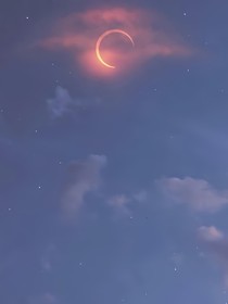 明知却深陷