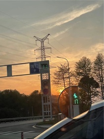 别拿爱下赌