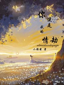 你便是我的情劫