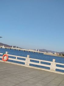 杰园携手玫瑰