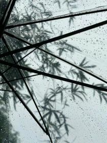 成为了觉醒者等于无敌了
