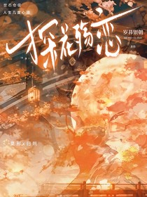 探花殇恋