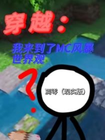 穿越：我来到了MC风暴世界观