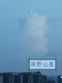林野山姜