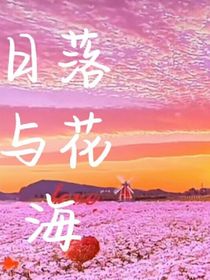 日落与花海