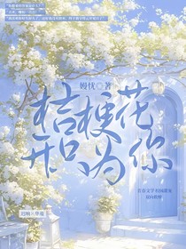 桔梗花开只为你