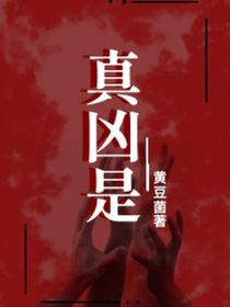 真凶是