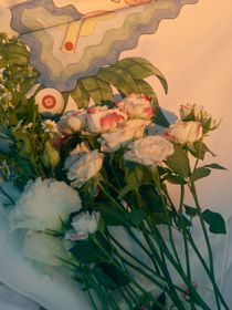 种朵小白花
