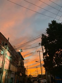 你的秋天是属于我的