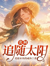 名柯：追随太阳