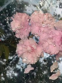 综漫倒计时