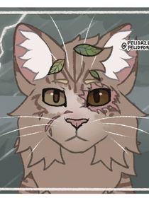 李拜天变成猫加入雷族