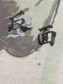 極端的反面