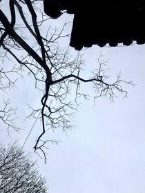 甜蜜的梦境