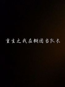 重生之我在糊团当队长