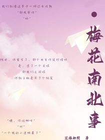 梅花南北事