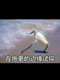 腦葉公司：萬光彼岸（應用部）
