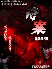 TNT：奇案