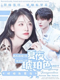 名学：琥珀色夏夜-d399