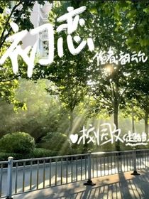 没想好395