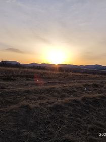 非同非本命