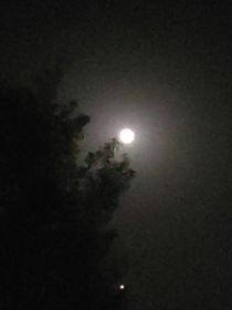 星河如云烟