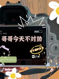 哥哥今天不对劲