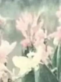 误会（第一季）