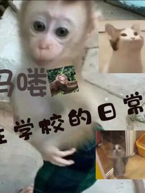 住宿吗喽（我）在学校的日常