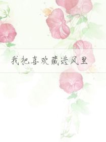 我把喜欢藏进风里