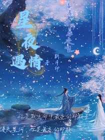 星夜遇情